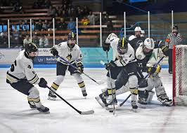 Image result for Demons Skater Hockey Club