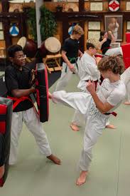 Image result for Newport Kyokushin Karate Club