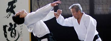 Image result for Aikido - Shobu UK