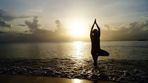 Image result for Hatha Yoga Club