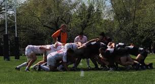 Image result for Stanford Rugby Club