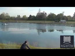 Image result for Wallingford Rowing Club