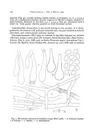 Attēlu rezultāti vaicājumam “Peniophora laurentii”