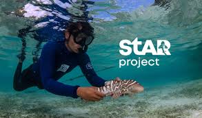 Image result for Stegostoma tigrinum