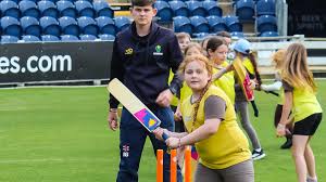 Image result for Ammanford Cricket Club