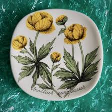 Attēlu rezultāti vaicājumam “Trollius europaeus leaf”