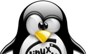 Image result for linux penguin