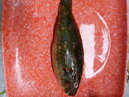 Image result for *PHUfbqhZ