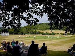 Image result for Worlingworth Cricket Club