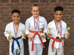 Image result for Epsom & Ewell Karate Club