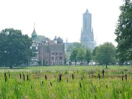 Image result for sonsbeek park