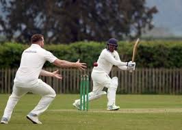 Image result for Kempsey Cc