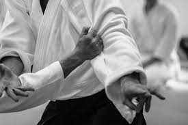 Image result for Sandokai Karate