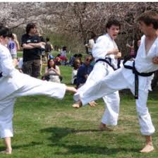 Image result for COURT FIELDS karate Academy