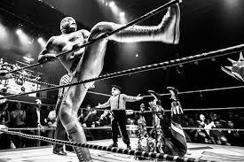 Image result for Addison Exiles Badminton Club