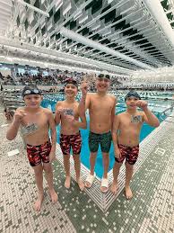 Image result for Loftus Dolphins Swimming Club