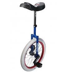 Image result for Southampton Unicycle Hockey