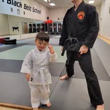Image result for Rising Sun Judo Club