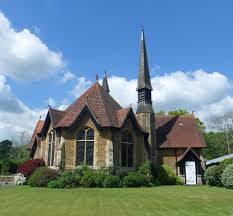 Image result for Wonersh Cricket Club