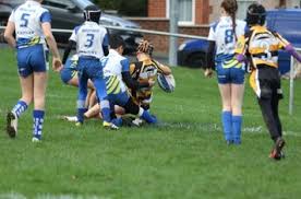 Image result for Drighlington Rugby League Football Club