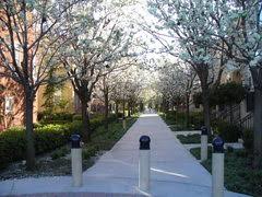 home cleaning service at rivermark tree lined exterior