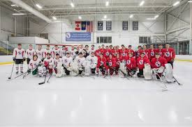 Image result for Hersham Hockey Club