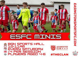 Image result for Easington Sports & Social Club