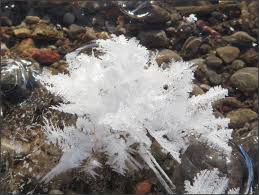 Attēlu rezultāti vaicājumam “Frost Flowers”