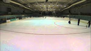 Image result for Guildford Ice Dance Club