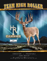 Image result for Big Bucks High Rollers