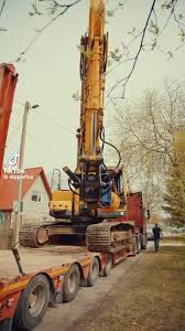 Image result for dipperfox tehron