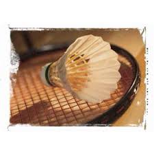 Image result for St Andrews (Bolton) Badminton Club