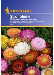 Image result for Strohblume