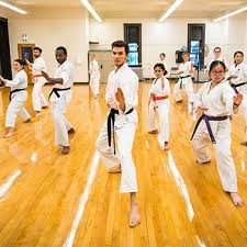 Image result for Shitokai Karate Club
