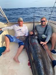 Image result for Makaira nigricans