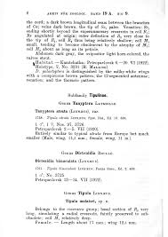 Attēlu rezultāti vaicājumam “Dictenidia bimaculata male”