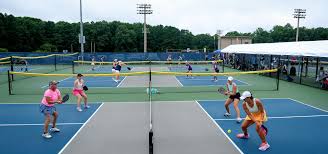 Image result for Mid Kent Pickleball