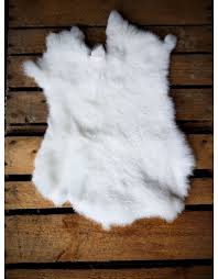 Image result for white rabbit skin texture