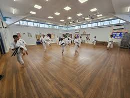 Image result for Wokingham Shotokai