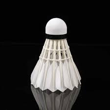 Image result for Flight Badminton Club