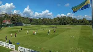 Image result for Cork County Cricket Club