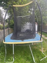 Image result for Abbey Flyers Trampoline Club