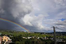 「寺本梨花 言の葉の庭」の画像検索結果