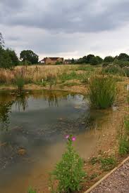 Image result for West Finchley B C