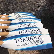 Image result for Torridge Pilot Gig Club