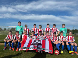 Image result for Dearne & District F C