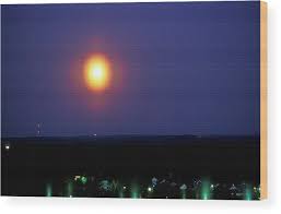 Attēlu rezultāti vaicājumam “pollen corona”