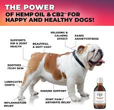 Image result for Bulldogs Power and strength