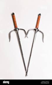 Image result for Sai Martial Arts