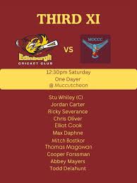 Image result for Luctonians Cricket Club